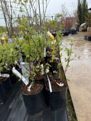 4F24357B-4155-43E4-B1F3-DC5556AC